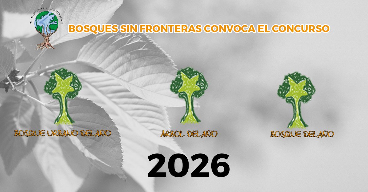Arturolarena's tweet photo. Abierto el plazo para presentar candidaturas al certamen árbol, bosque y bosque urbano del año 2026 https://t.co/68aGXgtqIz https://t.co/nfGJudRSBW