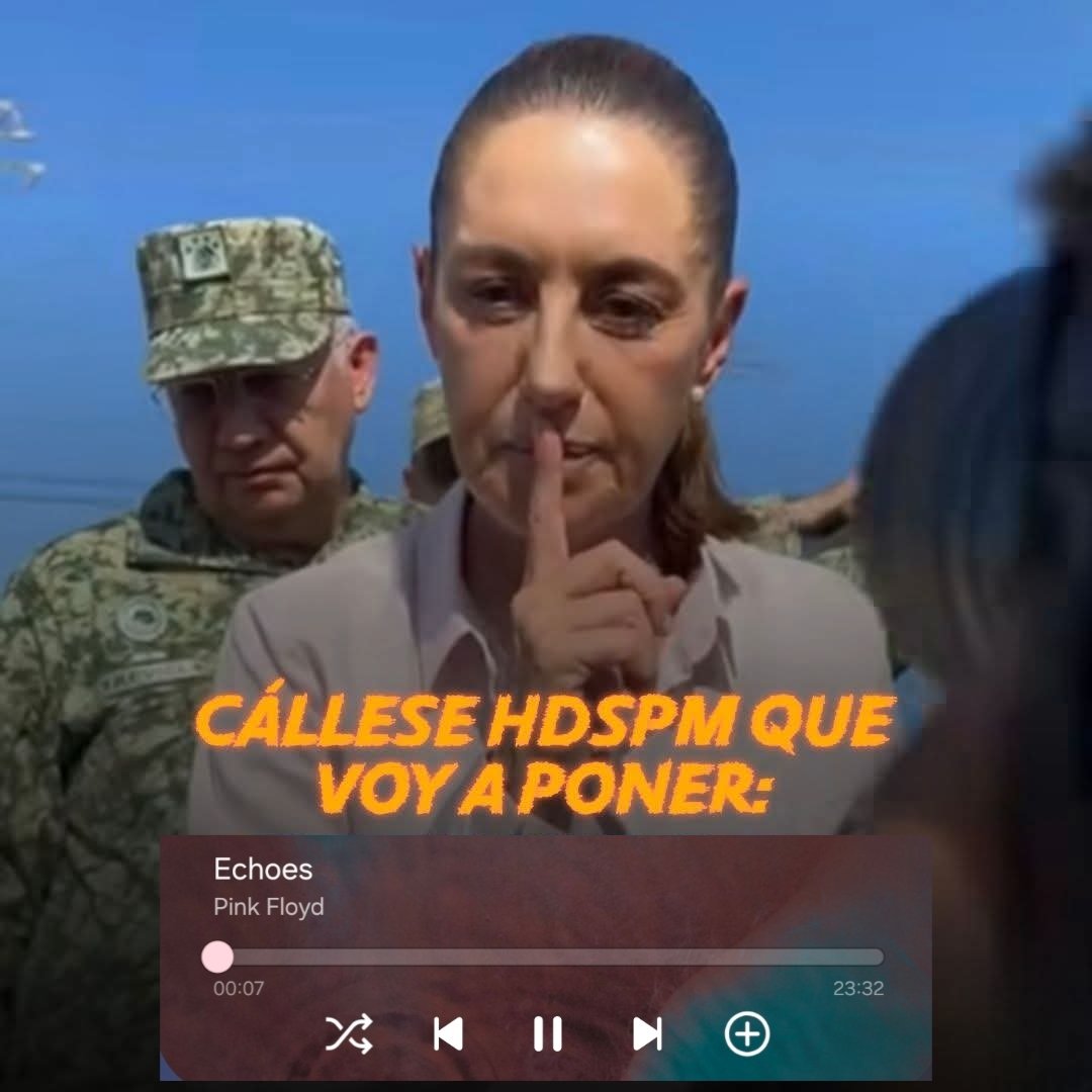 alex_olm's tweet image. 