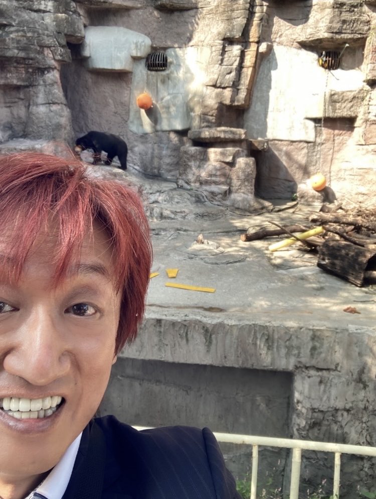 いつもここからと動物🦒🦏🧸