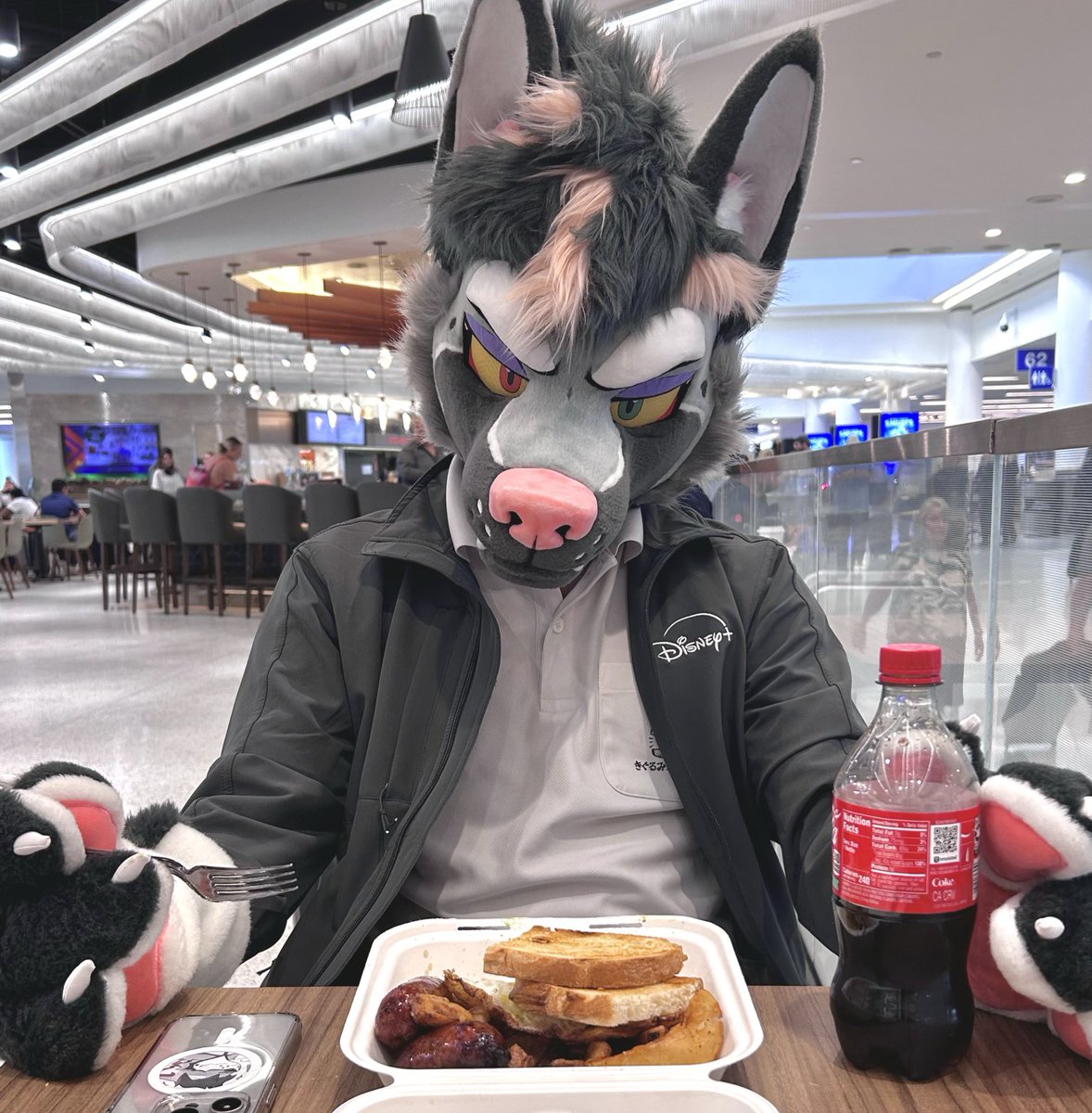 シャッチョ（Shaccho）→UTFG→IWAG→OFFF tweet media