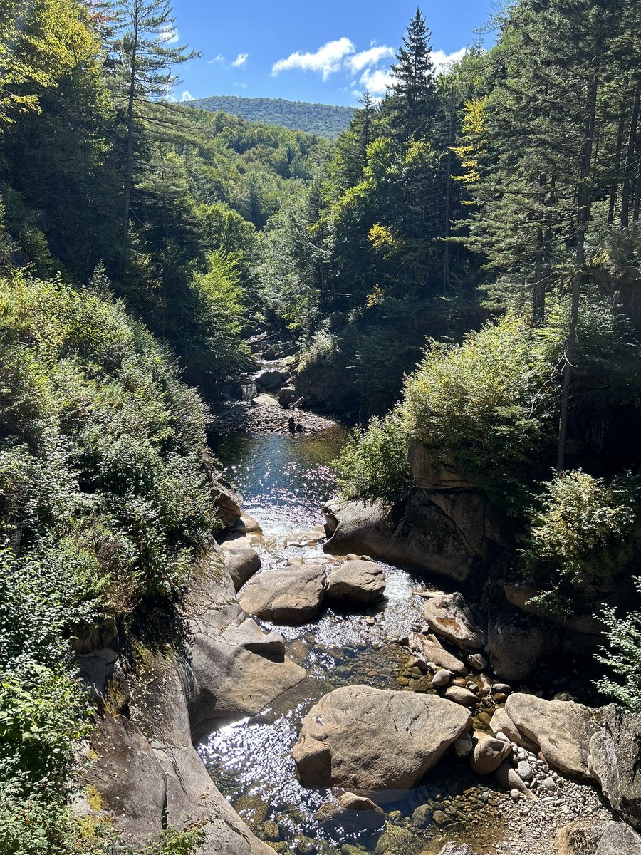 _mar_lor_'s tweet photo. @JonFreier @TMobile New Hampshire 🌲🌳 https://t.co/HPYh95ubzP