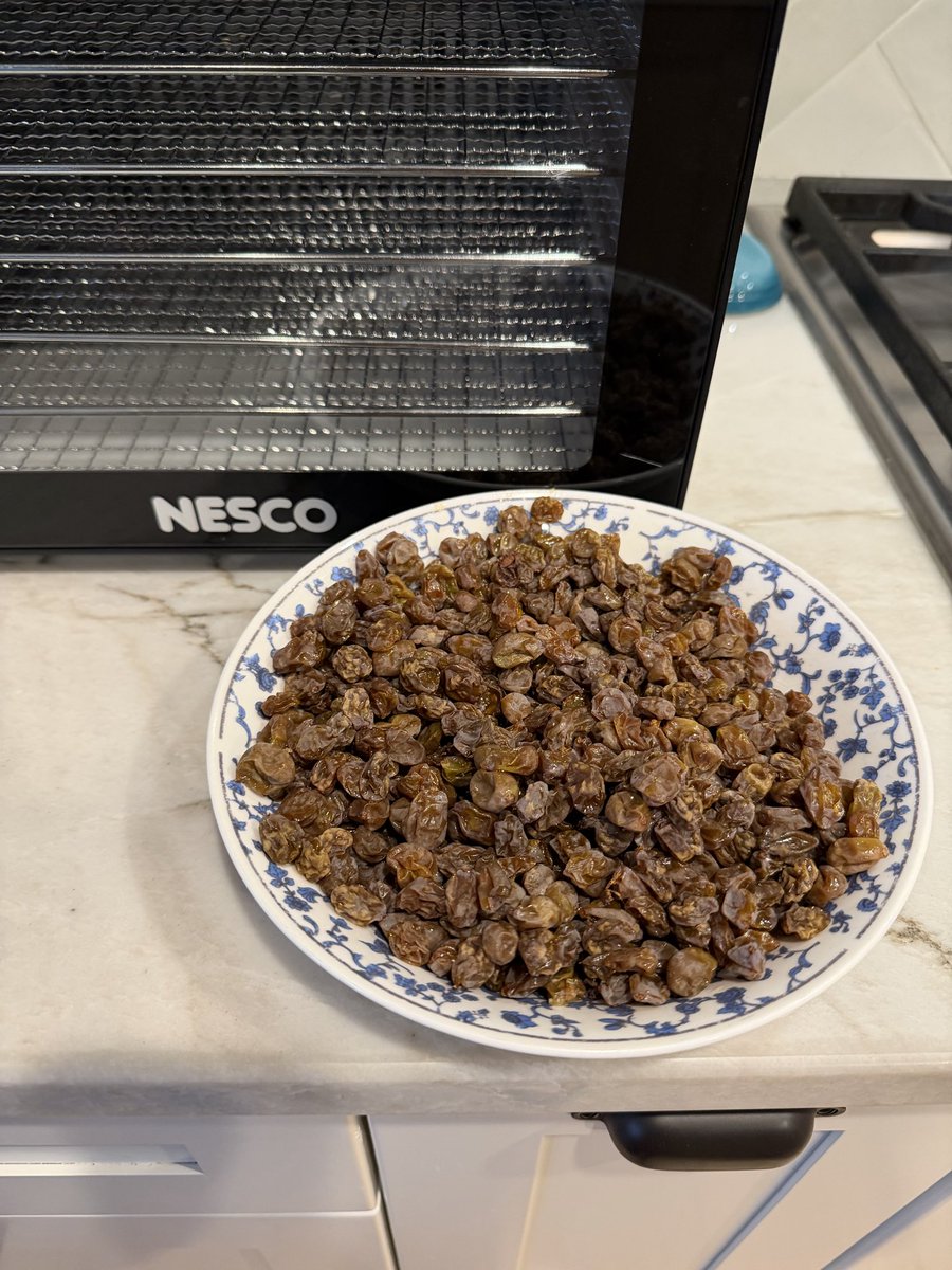 jrockandrollt's tweet image. The powerful wizard transmutes $22 of electricity into $3 of raisins