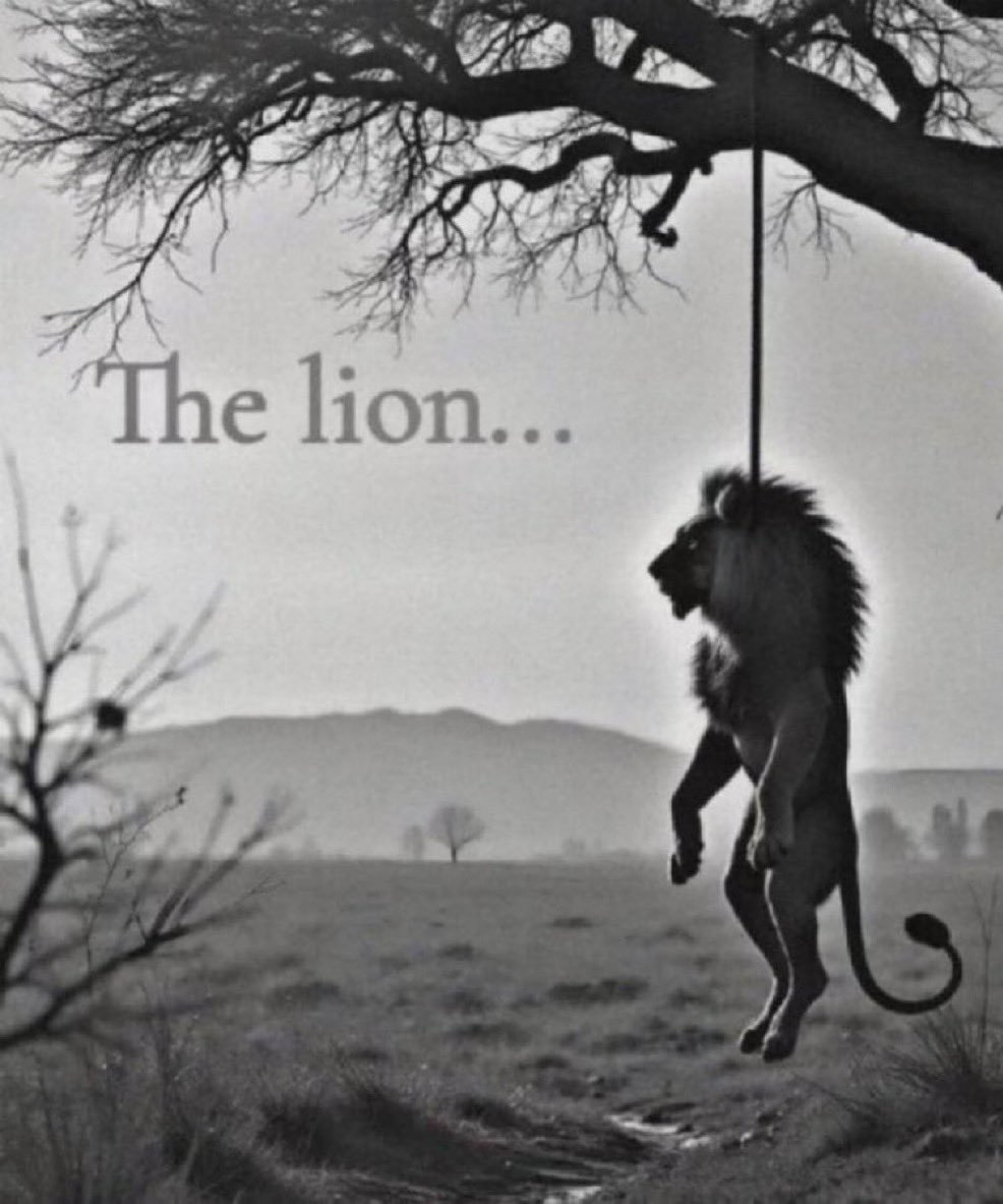 The lion doesn't concern himself with charts