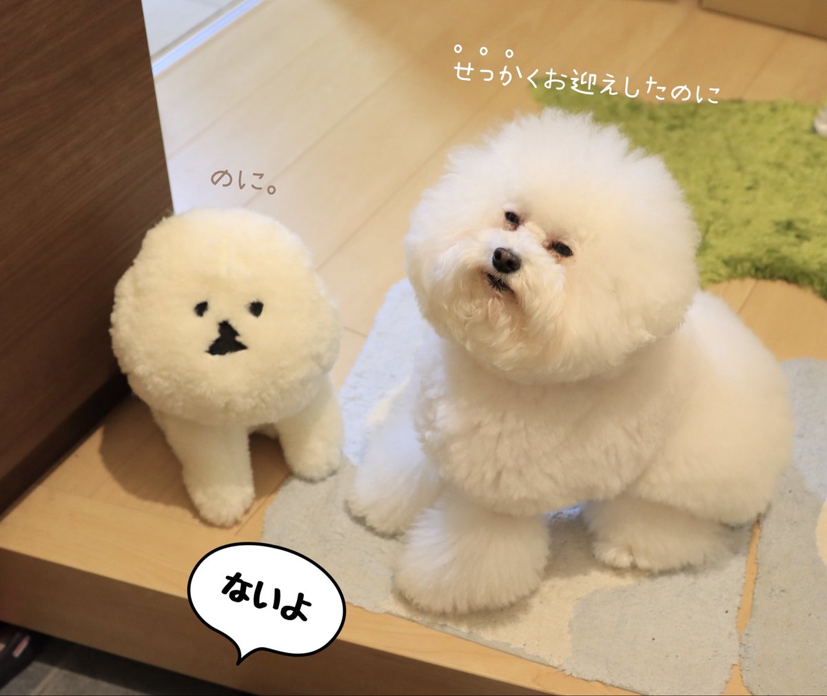 しらす様★ しらす@ (@sirastar) / Posts / X