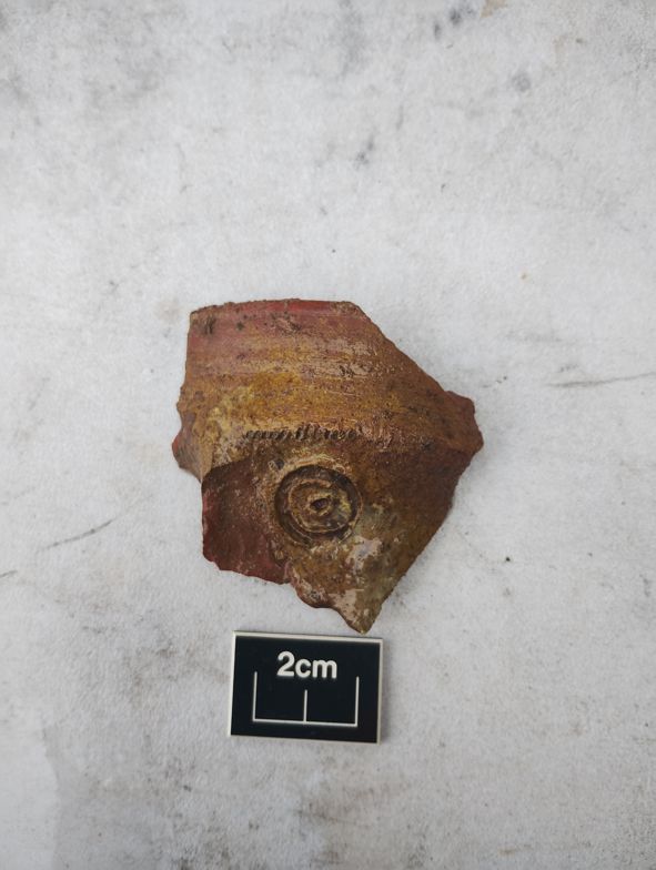 Tayside and Fife Archaeological Committee tweet media