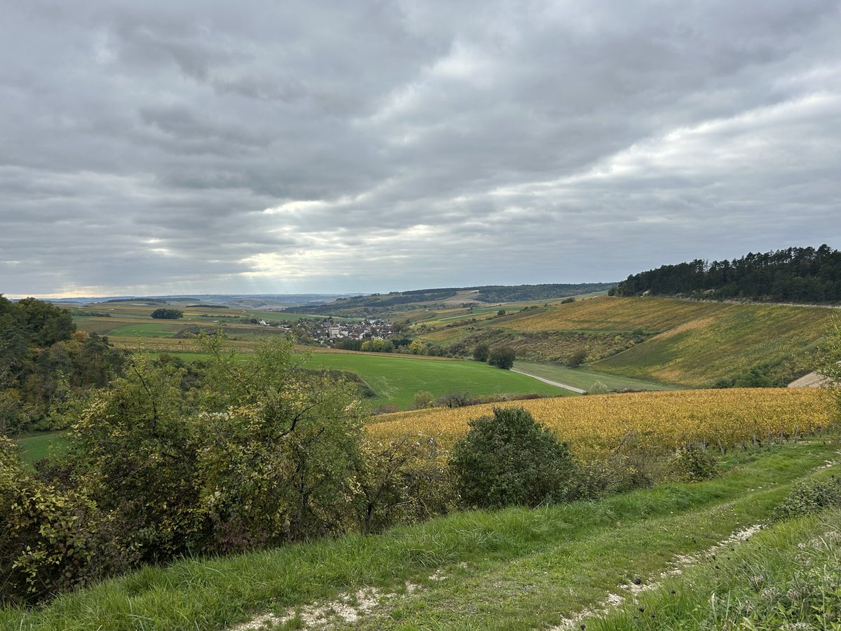 Sur les traces de St Jacques de Compostelle entre les <a href="/vinsdechablis/">Vins de Chablis</a> puis sur les traces du bureau par Chitry…

On est pas trop mal en Bourgogne <a href="/OlivierCOSTE2/">Olivier COSTE</a>