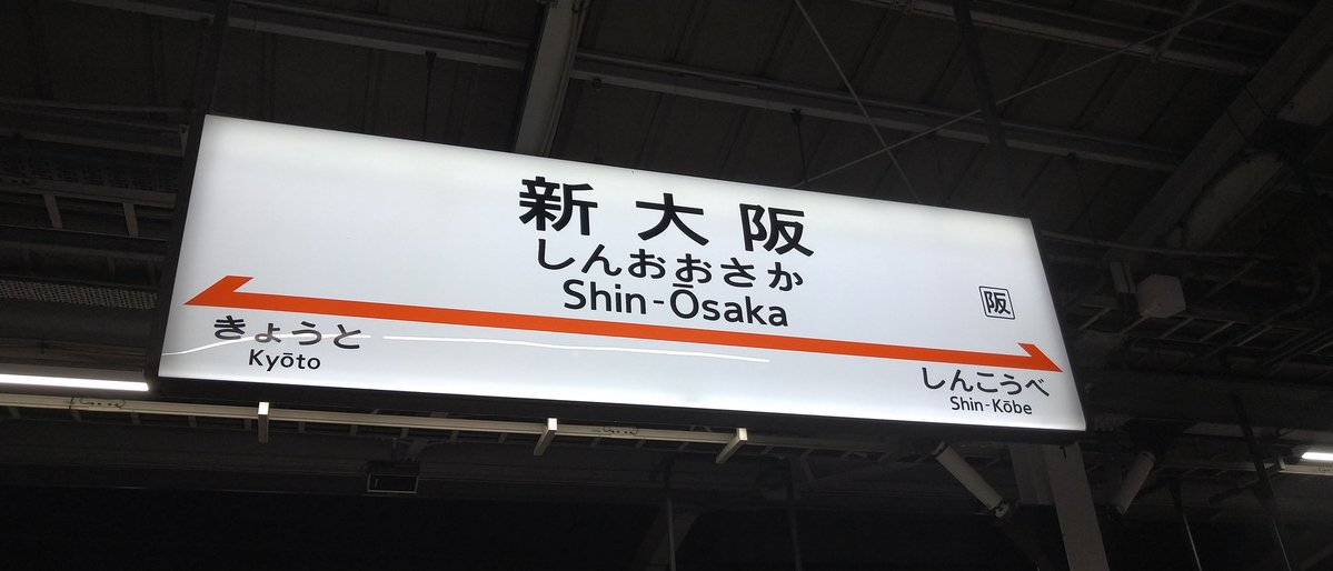 ただいま
めっちゃ雨