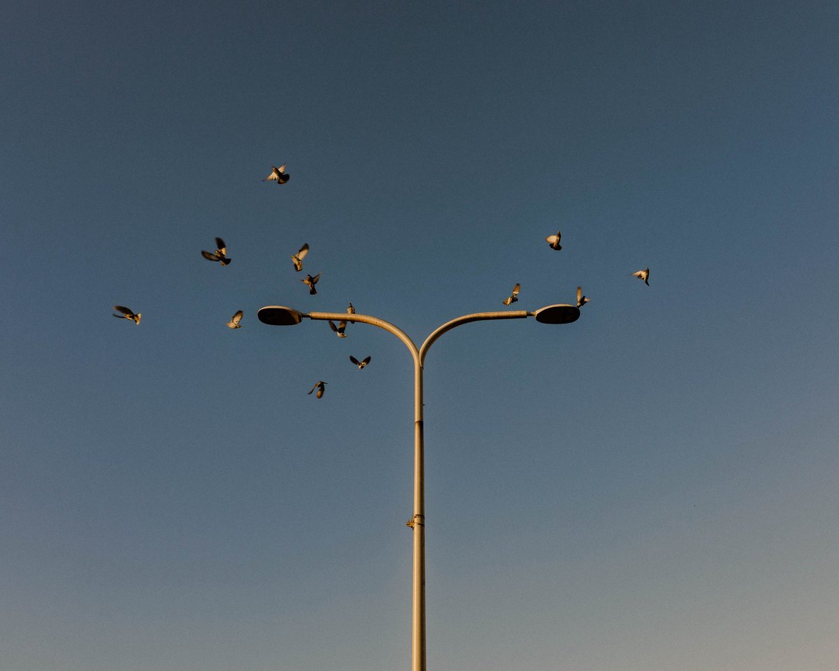 joaqaway's tweet photo. I love minimalism https://t.co/3yHFGgcWn4