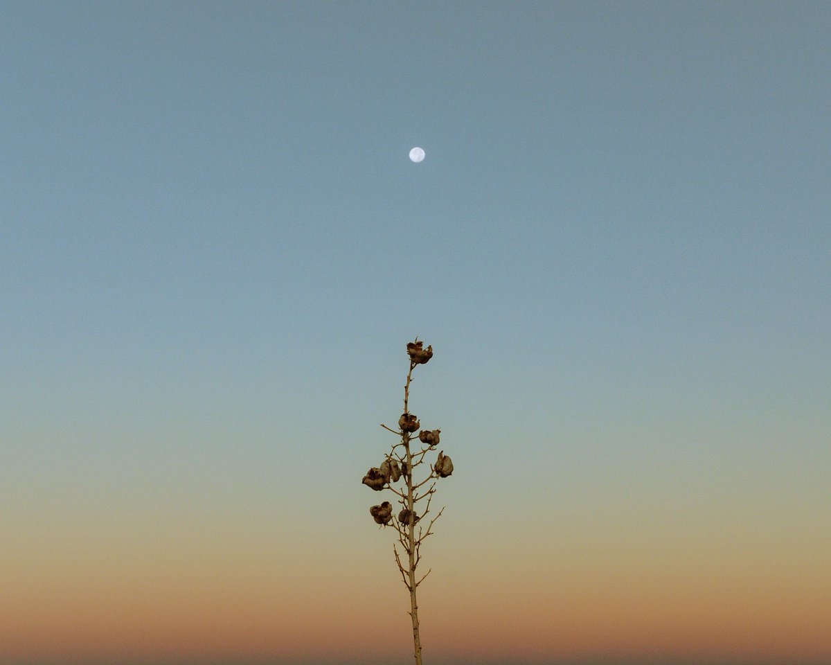 joaqaway's tweet photo. I love minimalism https://t.co/3yHFGgcWn4