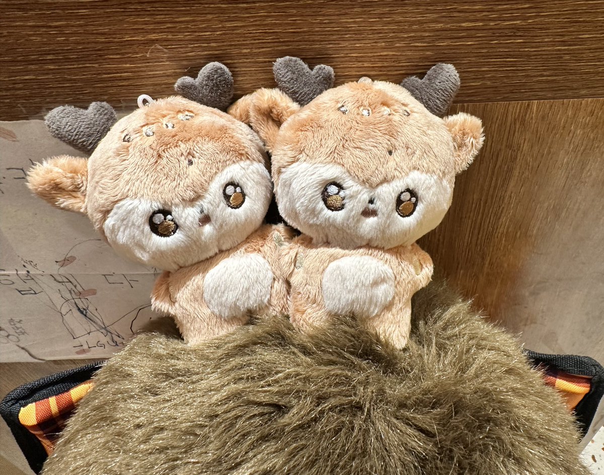 heesu_me's tweet image. 멋진 공간 감사합니다♡
라키드로는 귀여운 아이가 와줬어요〜

#stay_with_heeseung
#HAPPYHEESEUNGDAY