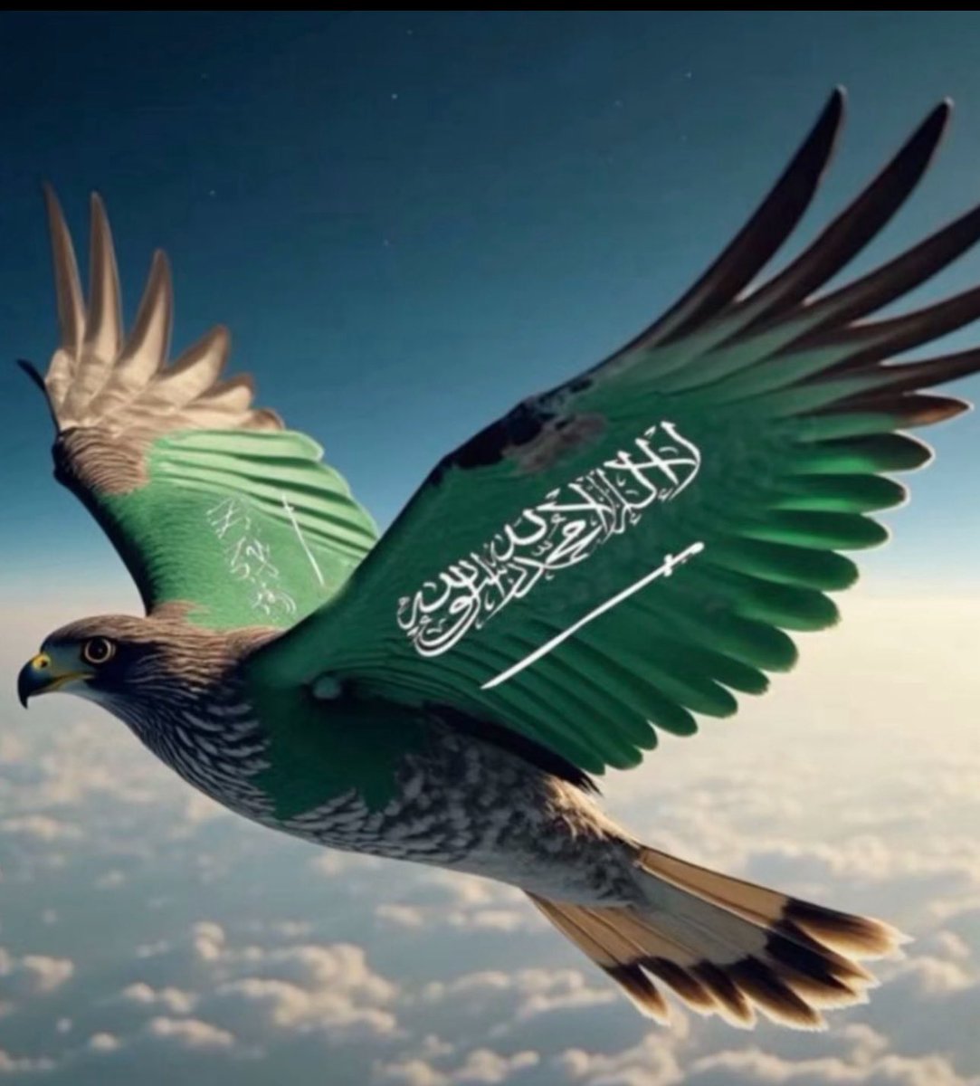 #السعوديه_العراق
اللهم وفق منتخبنا السعودي .. بإذن الله نبارك لبعض بالتأهل لكأس العالم