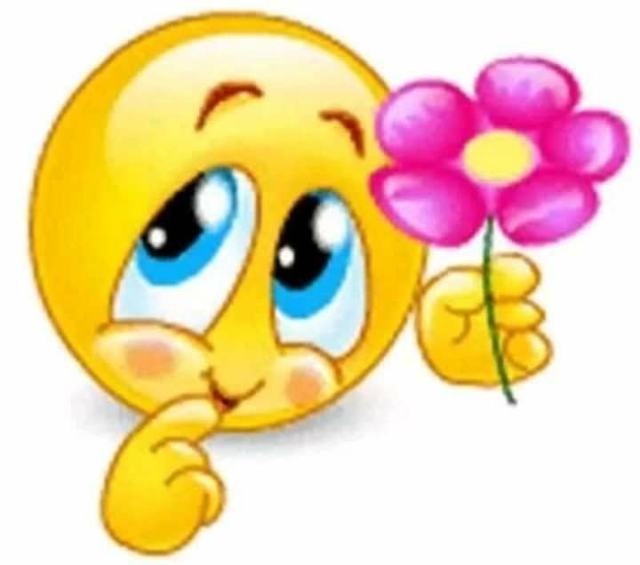 jaz 💐 tweet media