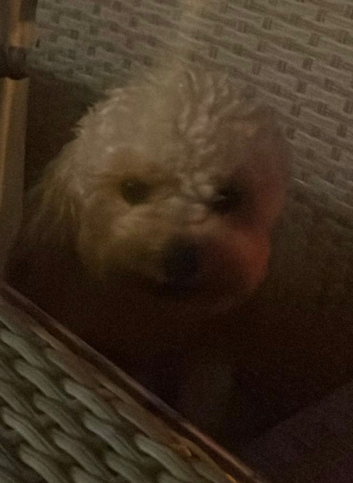 nu (@nuu2yu) on Twitter photo 