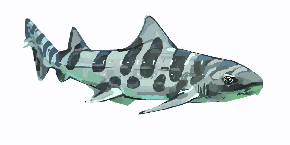 junbuug's tweet image. Give me $30 and I’ll draw a fish for you