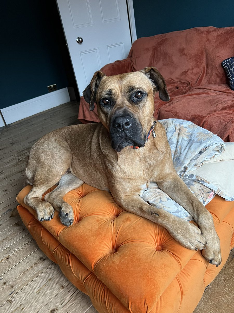 RosemaryFallows's tweet image. #DPPC2025 Nellie says “be careful what information you give away online and on social media”