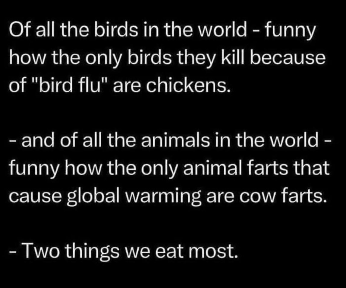 There are no coincidences. 🤫