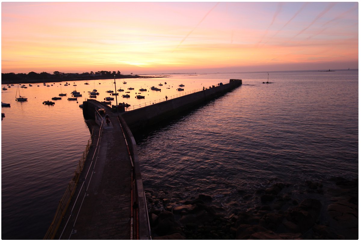 FlyUp Drone tweet media