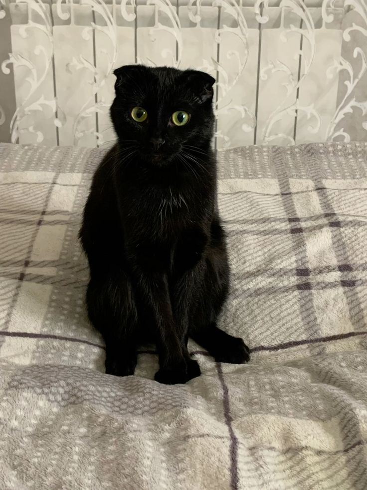 Second Before Blunder☠️ (@blundervid) on Twitter photo 