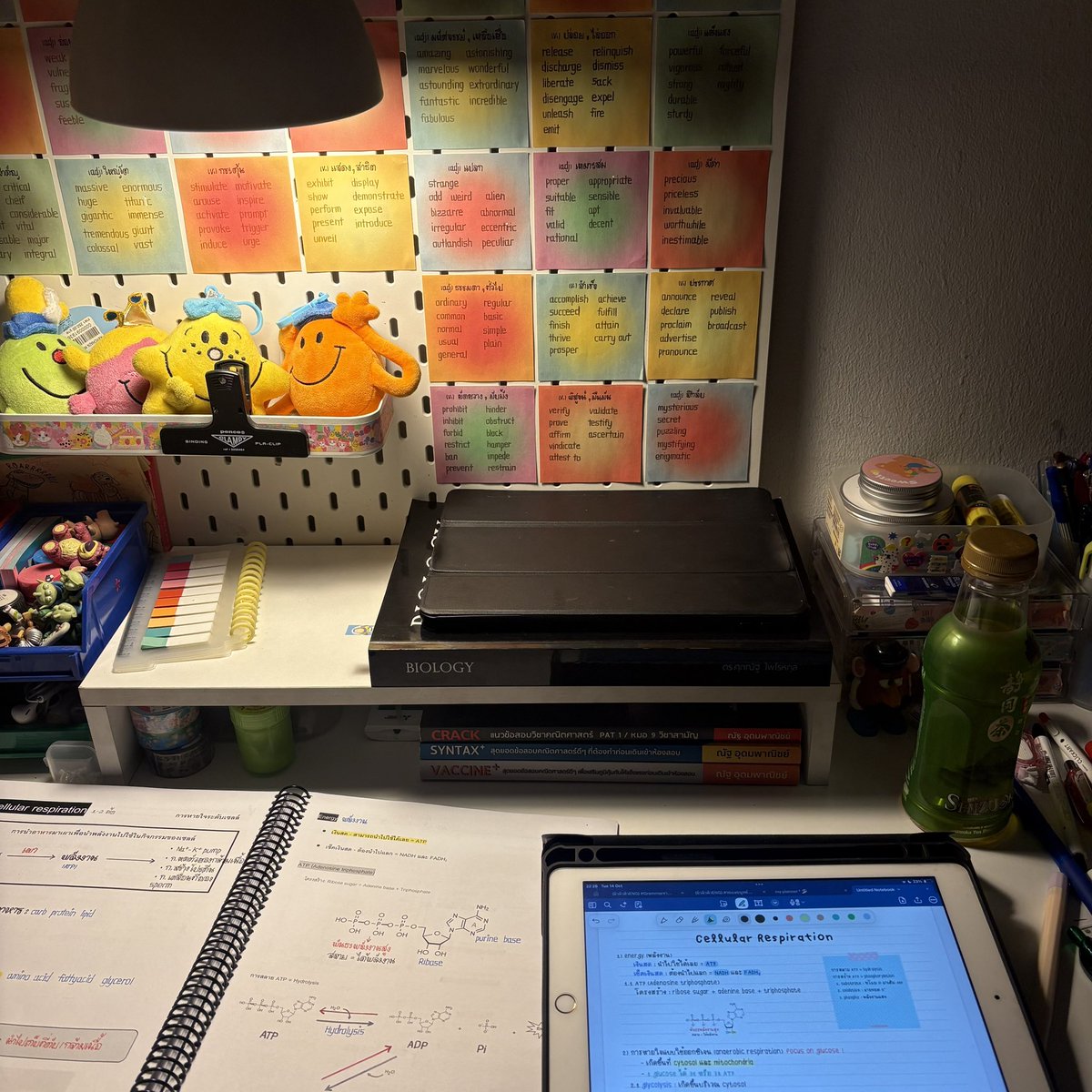 staybec00lkids's tweet image. 