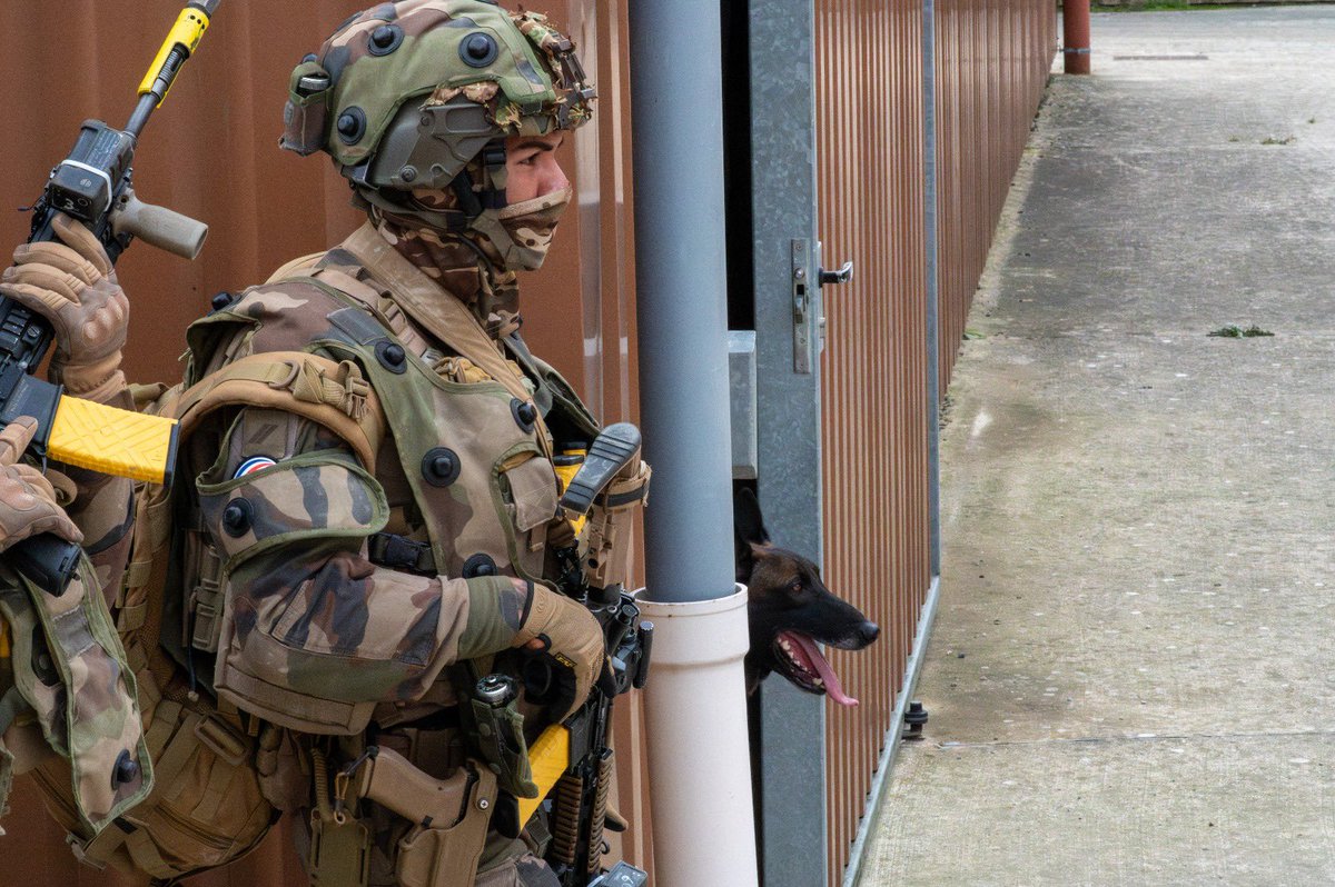 132e régiment d'infanterie cynotechnique tweet media