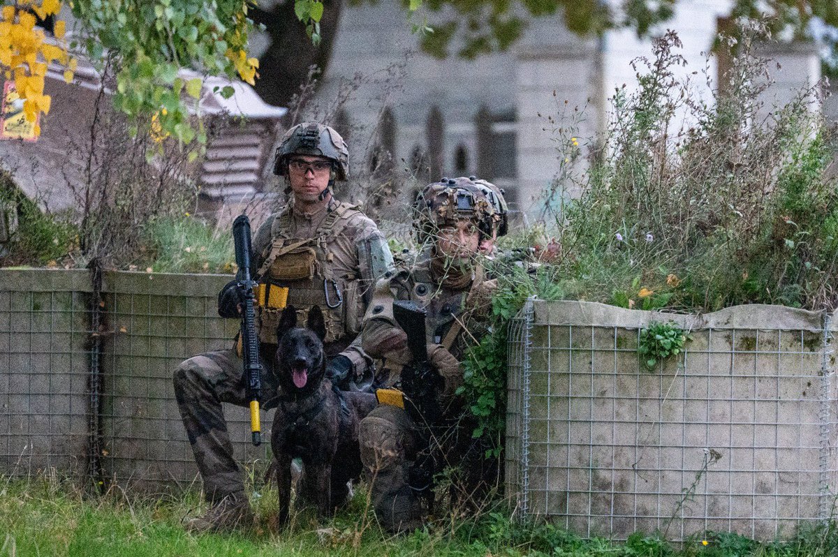 132e régiment d'infanterie cynotechnique tweet media