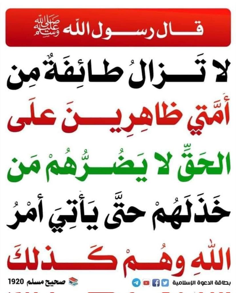 <a href="/AymanazzamAja/">Ayman Azzam</a>