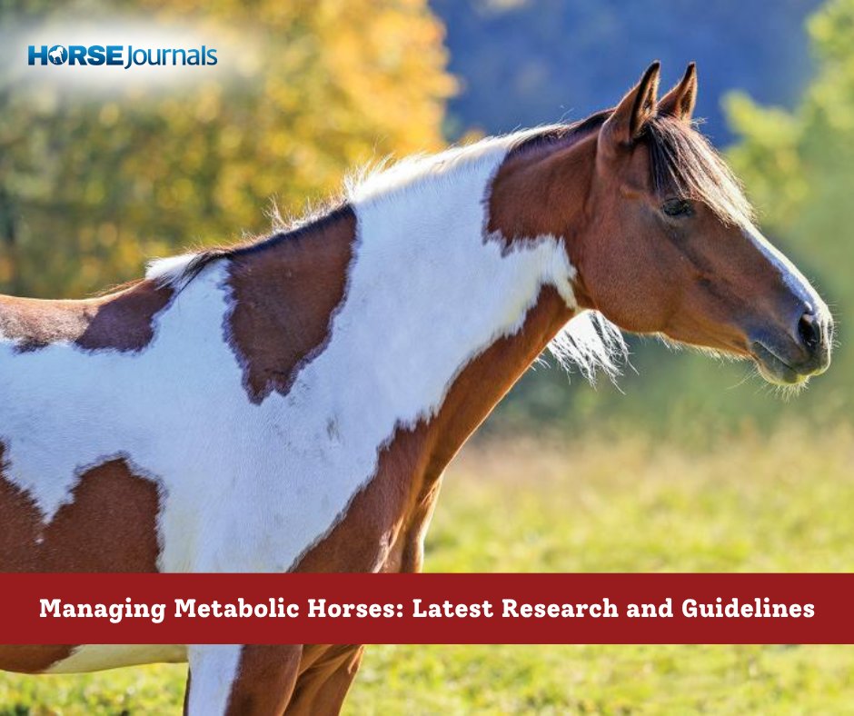 One of the primary nutrition concerns across North America is the management of horses with metabolic health issues 🐴

Madeline Boast's recent article discusses the goals of nutritional management for these horses + more.

Give it a read today! ➡️ horsejournals.com/horse-care/fee…