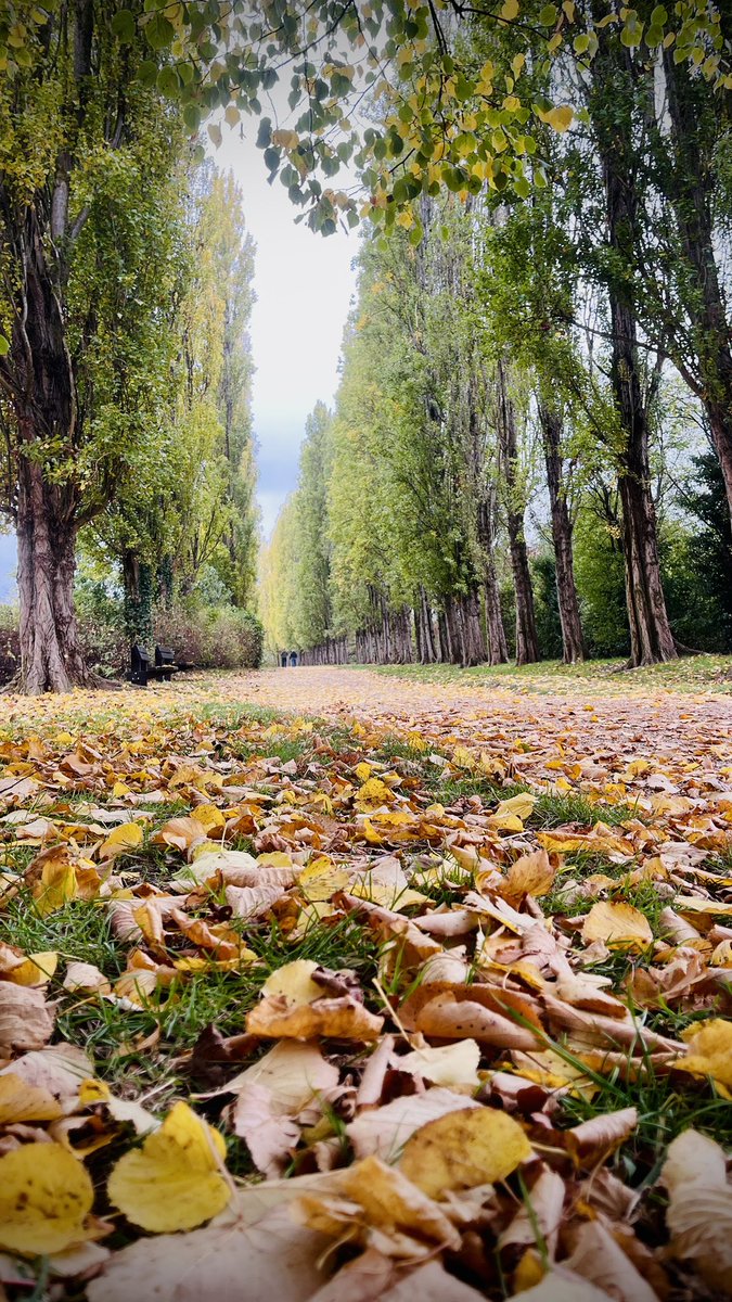 ☕️🫖🥓🍕🍦Wobbly Boater 🍦🍕🥓🫖☕️ tweet media