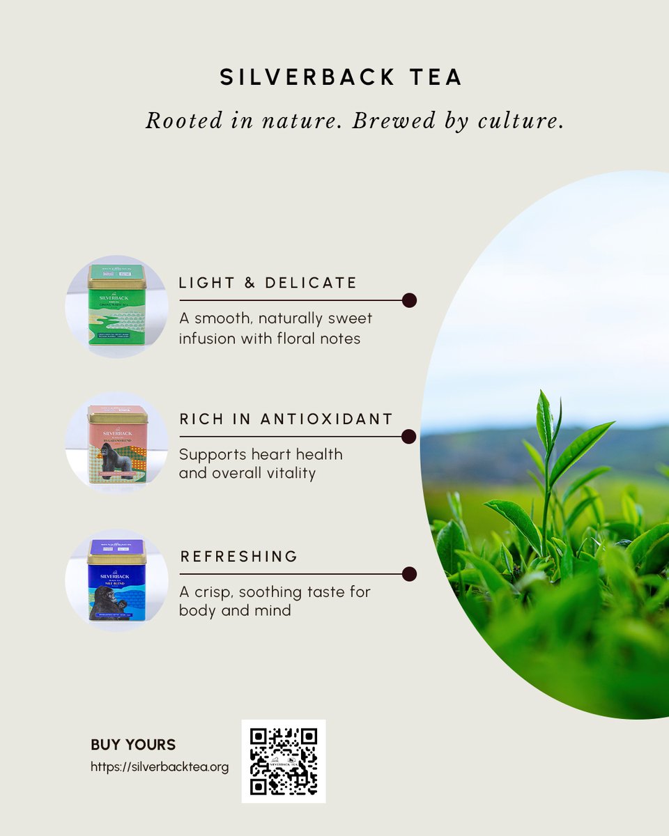 Rooted in nature. Brewed by culture.

Every cup of Silverback Tea carries the taste of our land, the care of our people, and the promise of pure quality.

#SilverbackTea #RwandaTea #FromLeafToCup #People #Environment #Quality