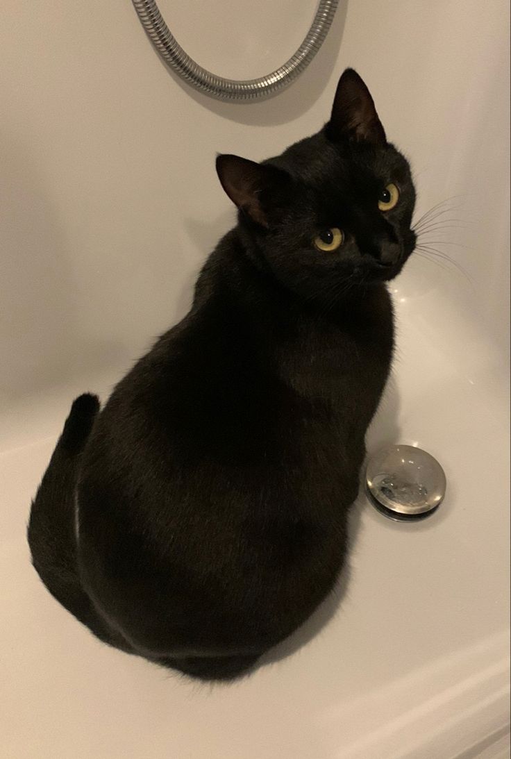 Second Before Blunder☠️ (@blundervid) on Twitter photo 