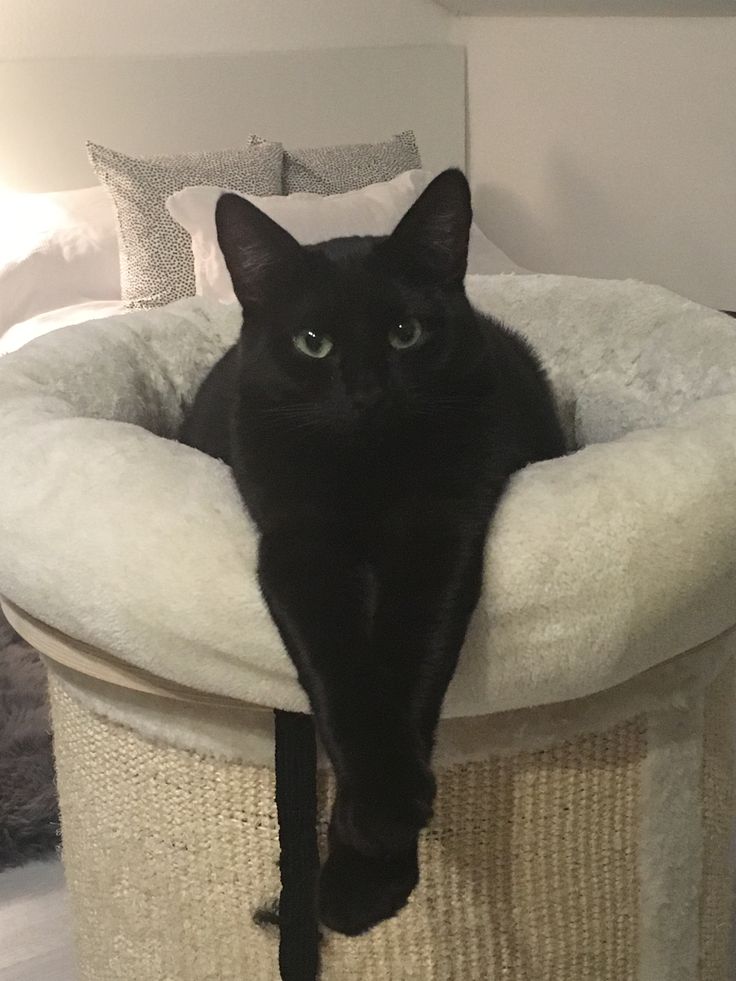 Second Before Blunder☠️ (@blundervid) on Twitter photo 