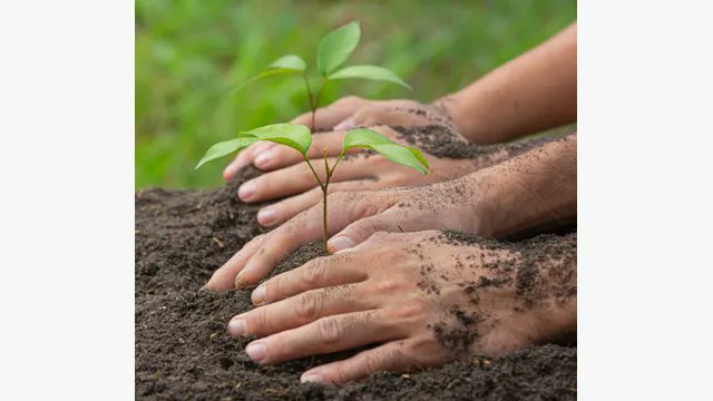 itz_Hasheem's tweet image. This image says it all 🌿
It starts with you. Make a difference.
View the post 👉 app.ecox.network/community/post…
Earn GREEN on @ECOX_ECOToEarn while you act:
app.ecox.network/register?refCo…
#ECOX #GREEN #ECO_TO_EARN