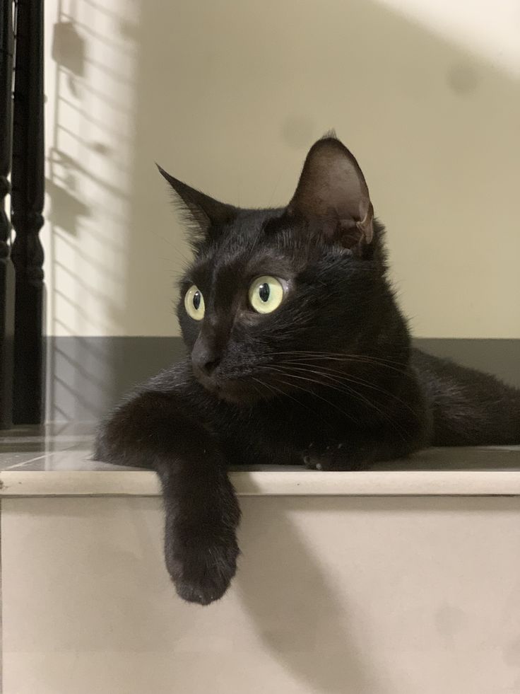 Second Before Blunder☠️ (@blundervid) on Twitter photo 