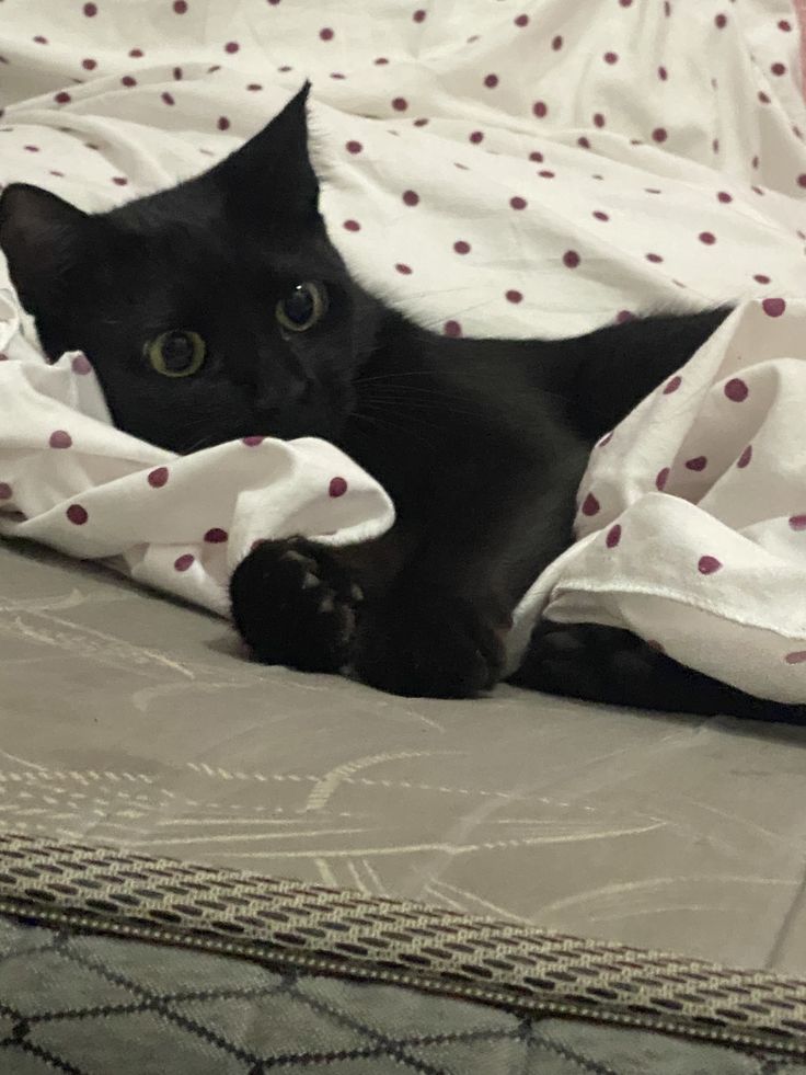 Second Before Blunder☠️ (@blundervid) on Twitter photo 