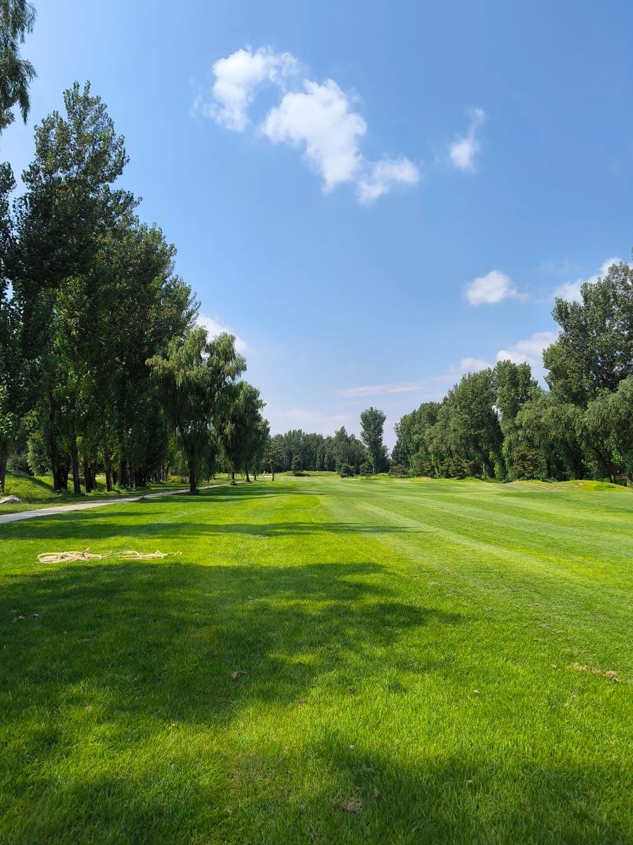 uyuyanpanda09's tweet image. To cheer myself up a bit, I went to play a round of golf.