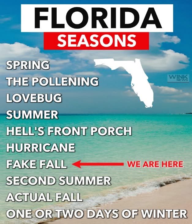 Johnny Moline 🐊 🌴🦩🦎 (@johnmccumber) on Twitter photo 