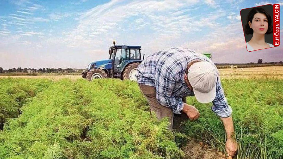 cumhuriyetgzt's tweet image. Tarımsal üretimde alarm: Dışa bağımlılık gıda güvenliğini tehdit ediyor
cumhuriyet.com.tr/tarim/tarimsal…