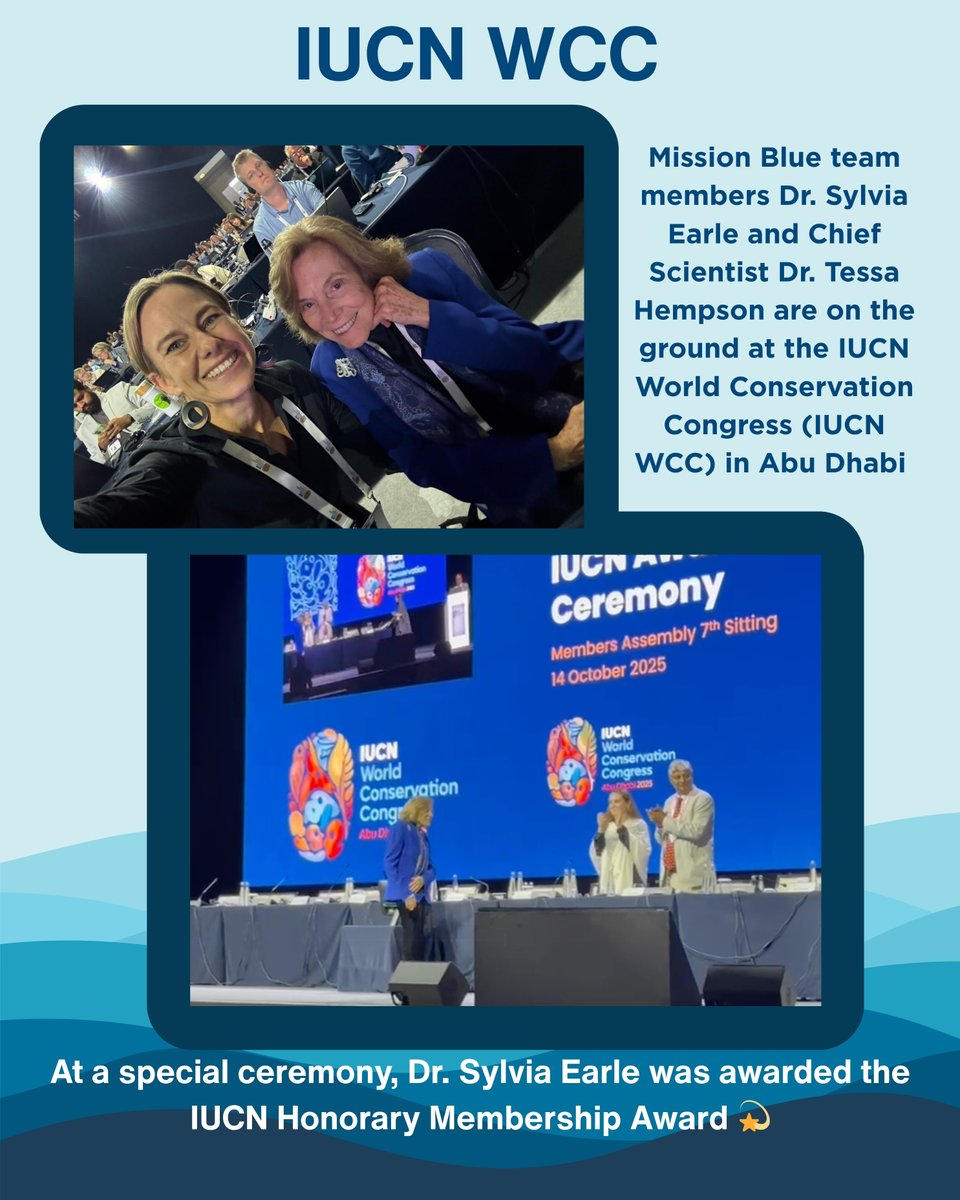 Mission Blue tweet media