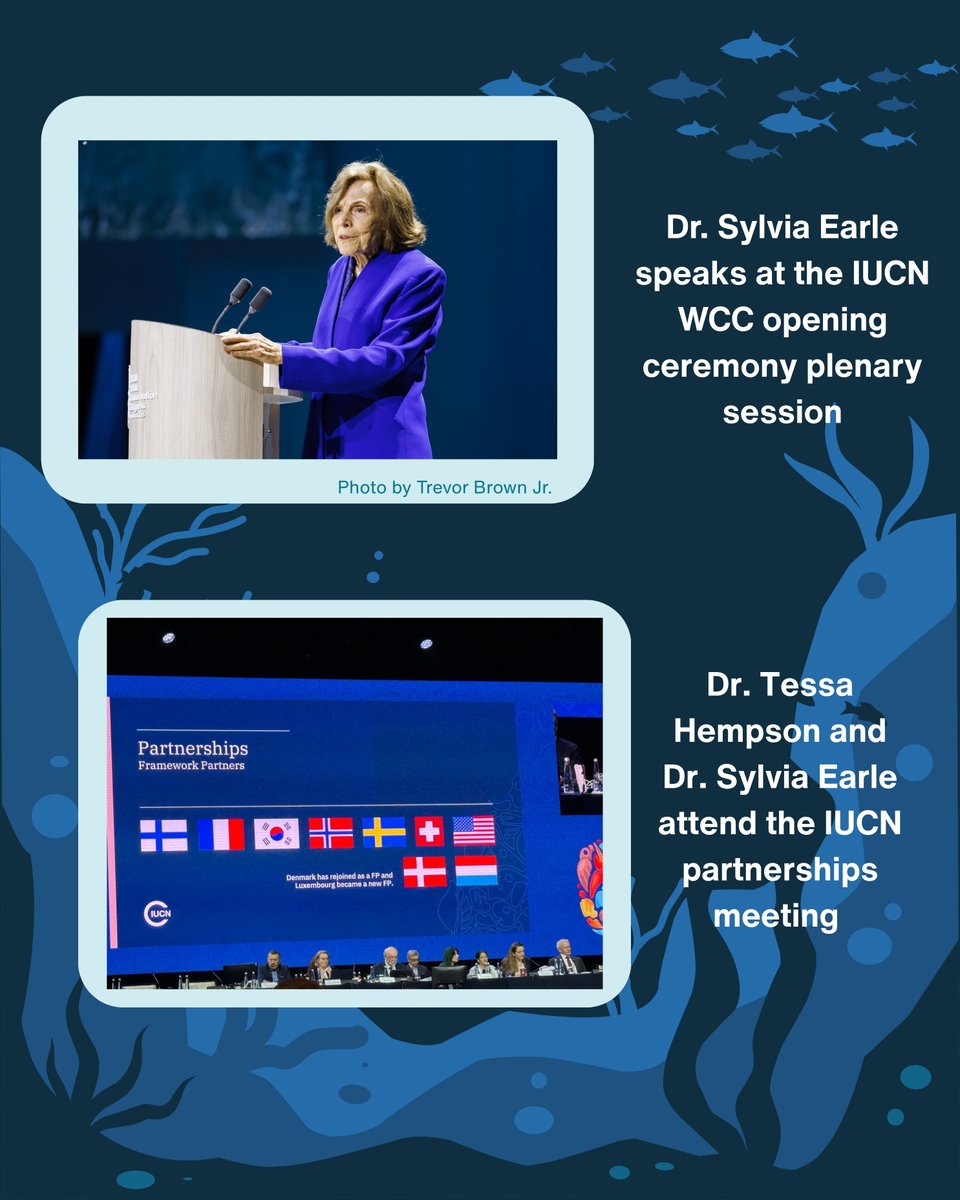 Mission Blue tweet media