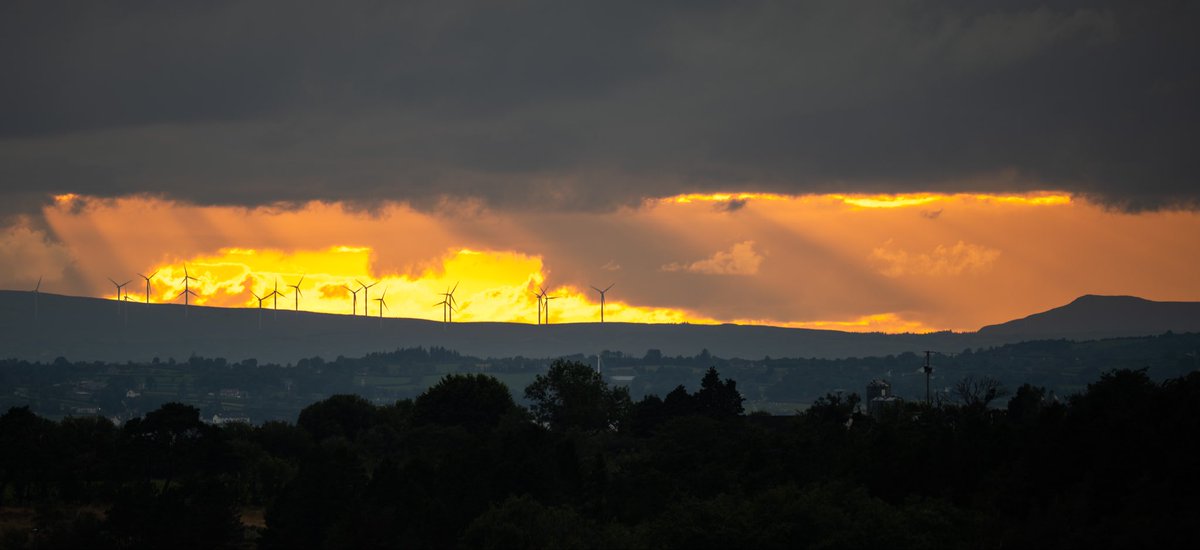 Brian Jenkins tweet media