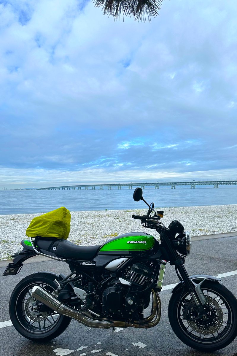 とらちゃんページ とらちゃん (@torachan675r1) / X