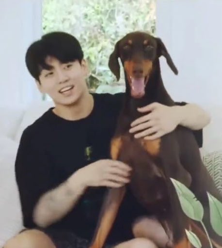 mariel⁷ 마리엘 ia tweet media