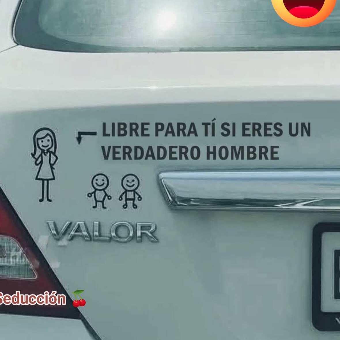 🇲🇽 México Mágico ✨ tweet media