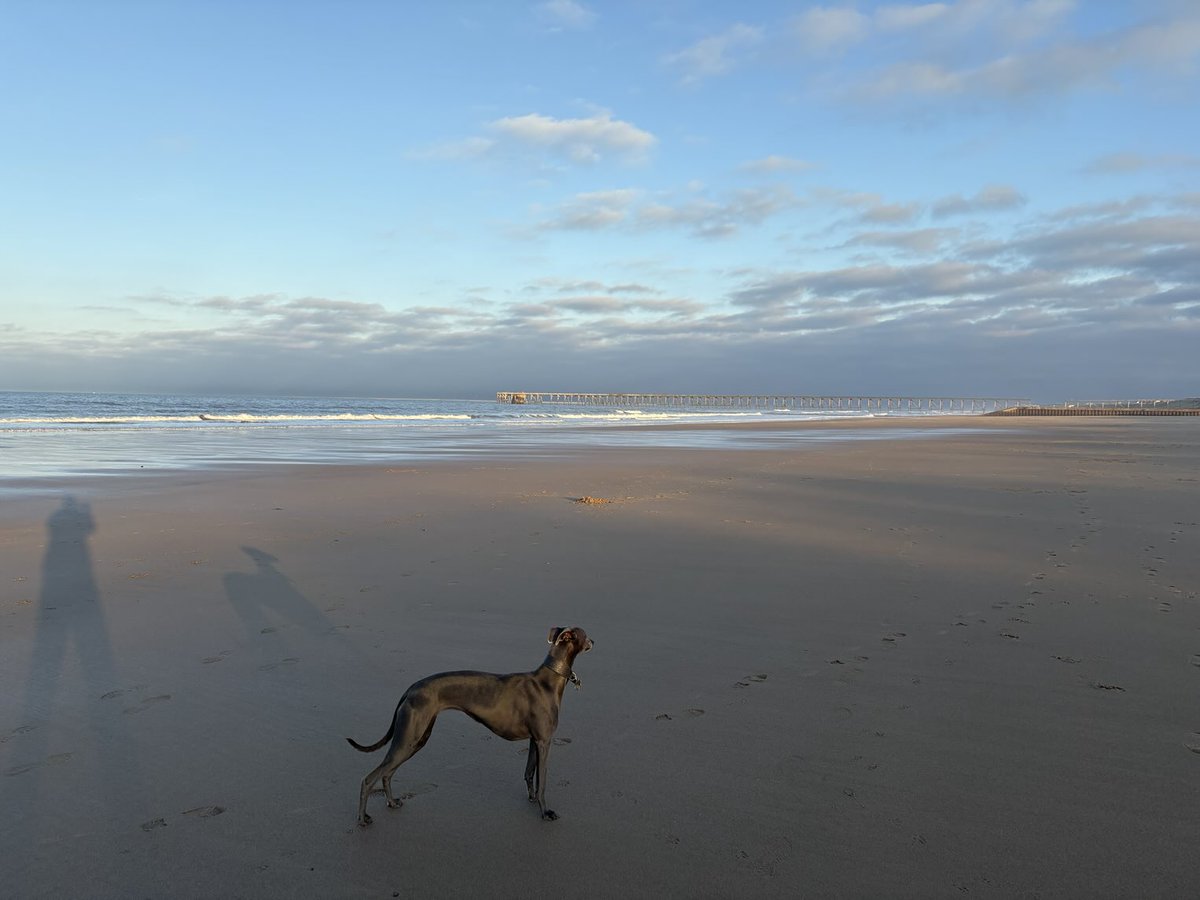 Lovely evening tonight and what a view ! 🐕