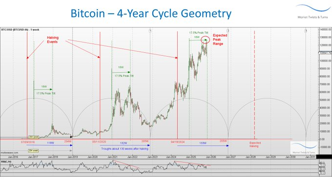 BraVoCycles Newsletter tweet media