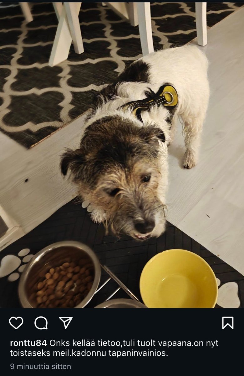 Jussi Koljonen tweet media