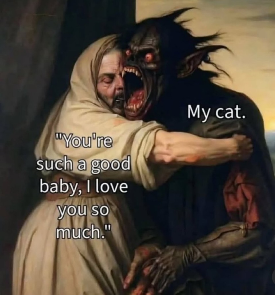 positive side of X 🌞 tweet media