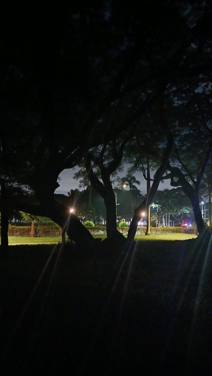 enesefdobolyu__'s tweet photo. Napadaan lang hahaha
#AlterUPD #AlterDiliman #AlterQC #Outdoor https://t.co/GUj7TPud3Z