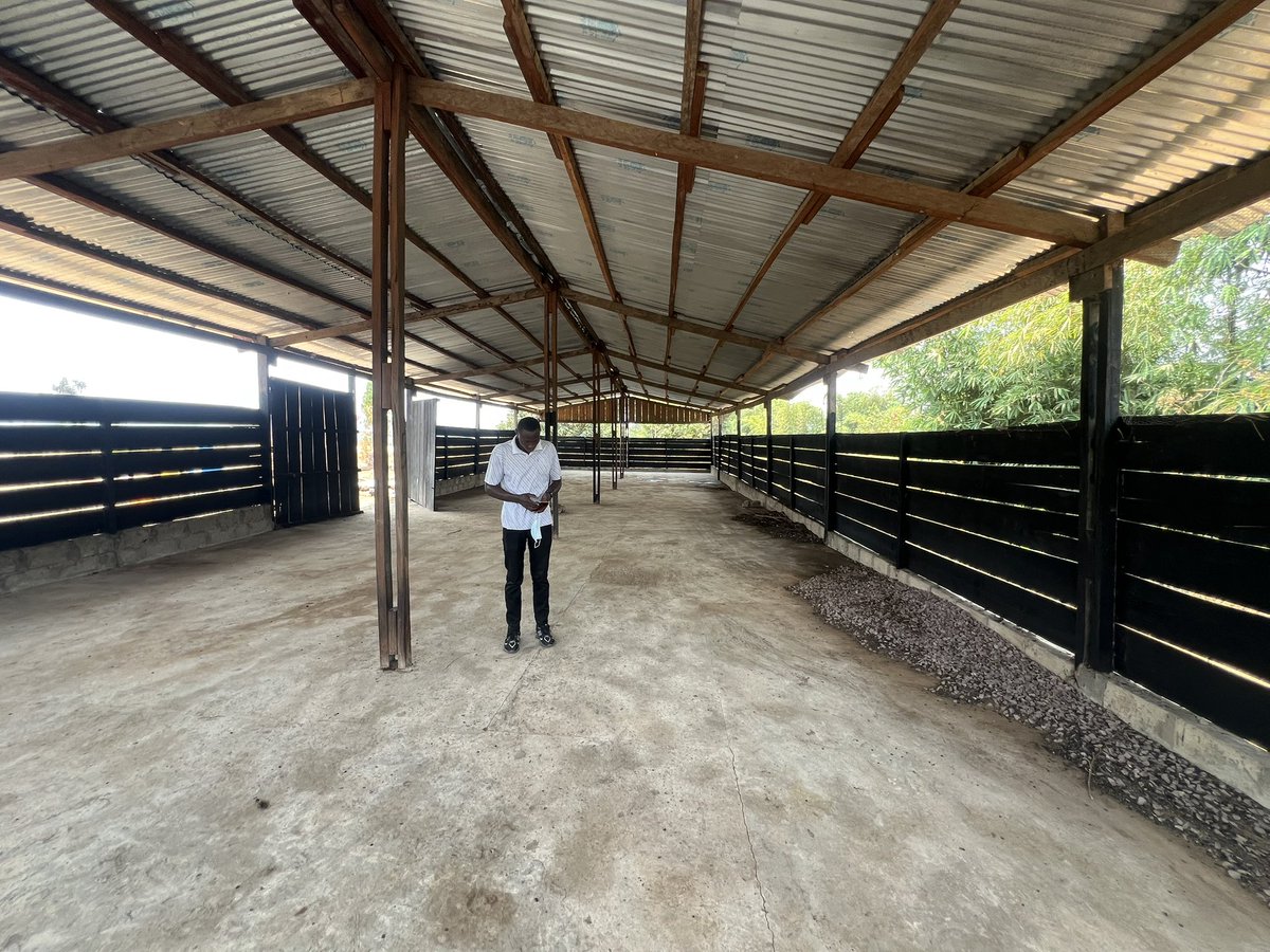 willemifungaif's tweet photo. @GraceKutino Ns serions profondément honorés de vs recevoir dans notre ferme afin de vs présenter nos activités ainsi que notre projet Animal Hub, une initiative innovante qui permet aux jeunes et aux investisseurs d’élever à distance grâce à un modèle de gestion moderne et participatif. https://t.co/xgf0v5jry9