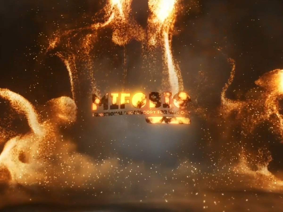 GDR_ImaBio's tweet image. 🔬 Teaser #Mifobio2025
👉youtu.be/QAJXmx4v2Dc?si…